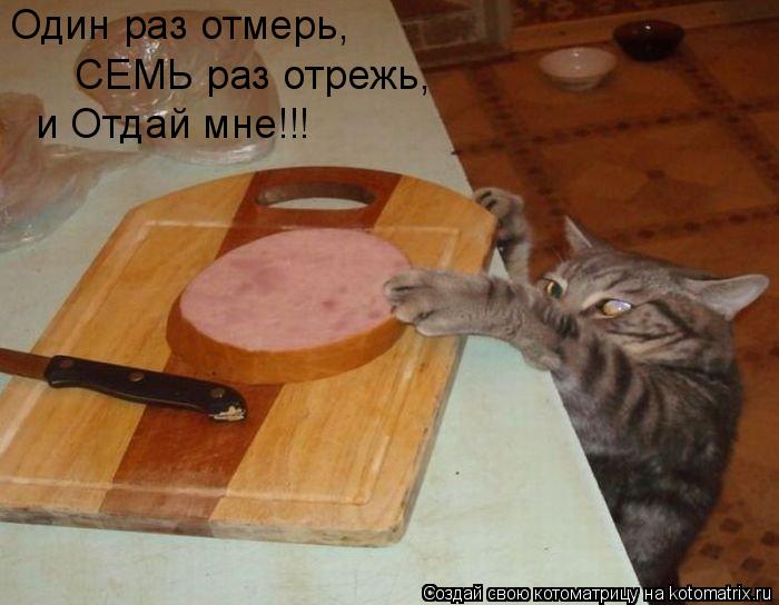 Котоматрица: Один раз отмерь,  СЕМЬ раз отрежь, и Отдай мне!!!