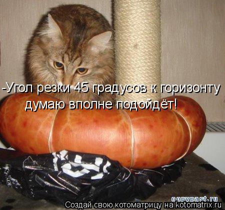Котоматрица: -Угол резки 45 градусов к горизонту думаю вполне подойдёт!