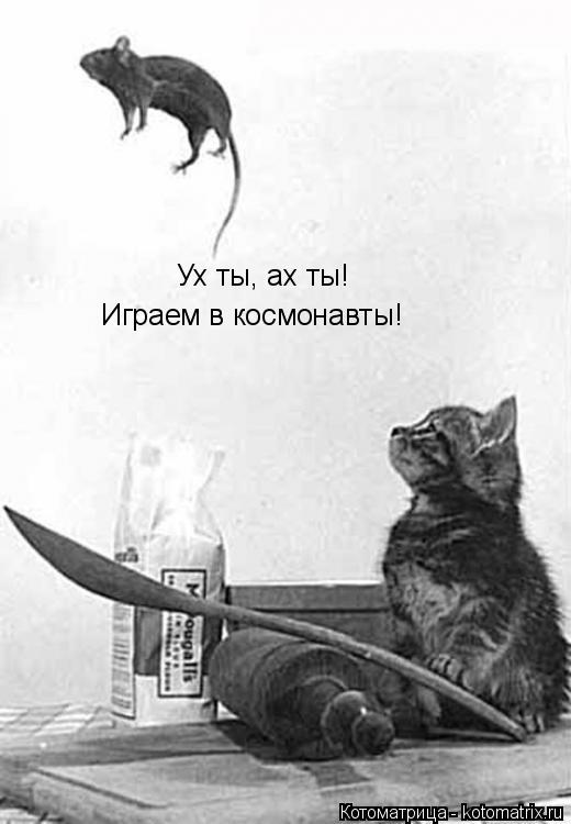 Котоматрица: Ух ты, ах ты! Играем в космонавты!