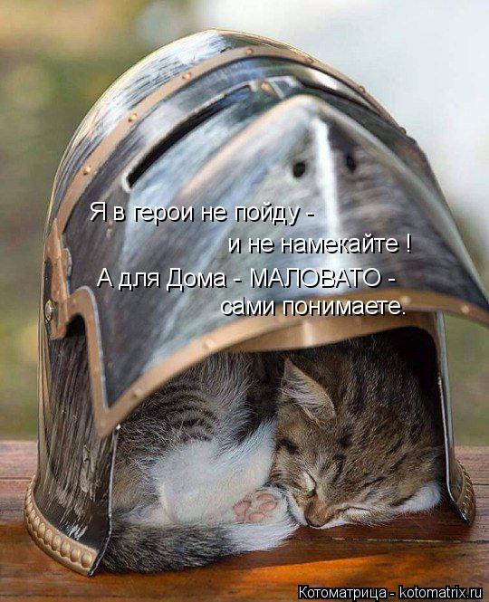 Котоматрица: Я в герои не пойду - и не намекайте ! А для Дома - МАЛОВАТО -  сами понимаете.