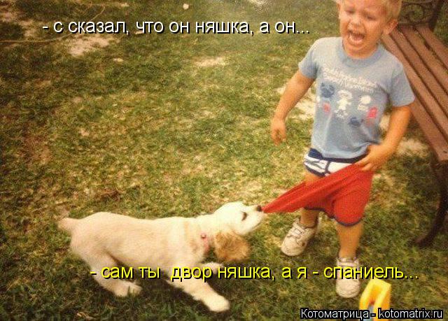 Котоматрица: - с сказал, что он няшка, а он... - сам ты  двор няшка, а я - спаниель...