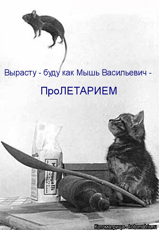 Котоматрица: Вырасту - буду как Мышь Васильевич - ПроЛЕТАРИЕМ