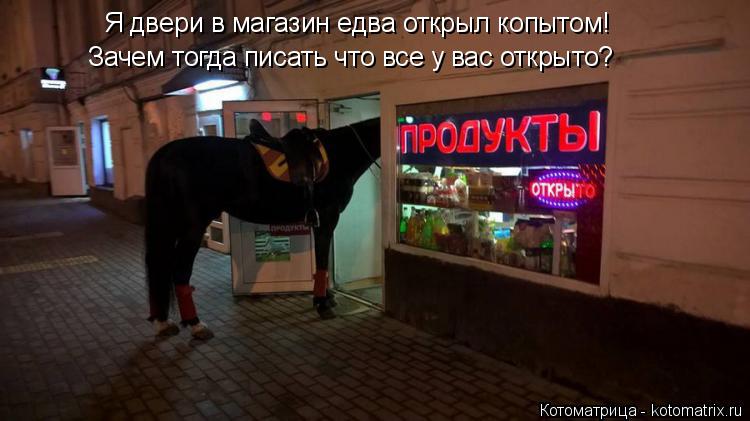 Котоматрица: Я двери в магазин едва открыл копытом!  Зачем тогда писать что все у вас открыто?
