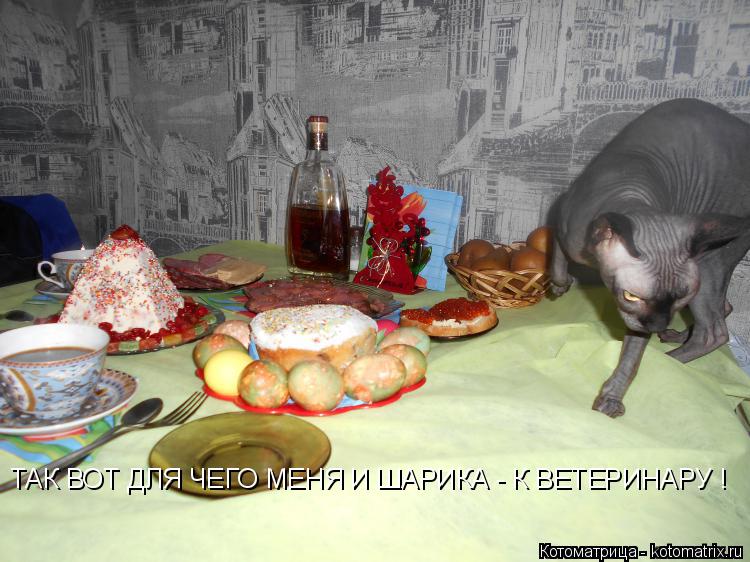 Котоматрица: ТАК ВОТ ДЛЯ ЧЕГО МЕНЯ И ШАРИКА - К ВЕТЕРИНАРУ !