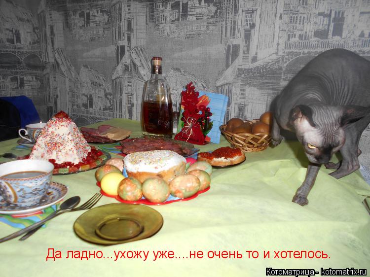 Котоматрица: Да ладно...ухожу уже....не очень то и хотелось.