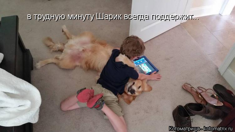 Котоматрица: в трудную минуту Шарик всегда поддержит...