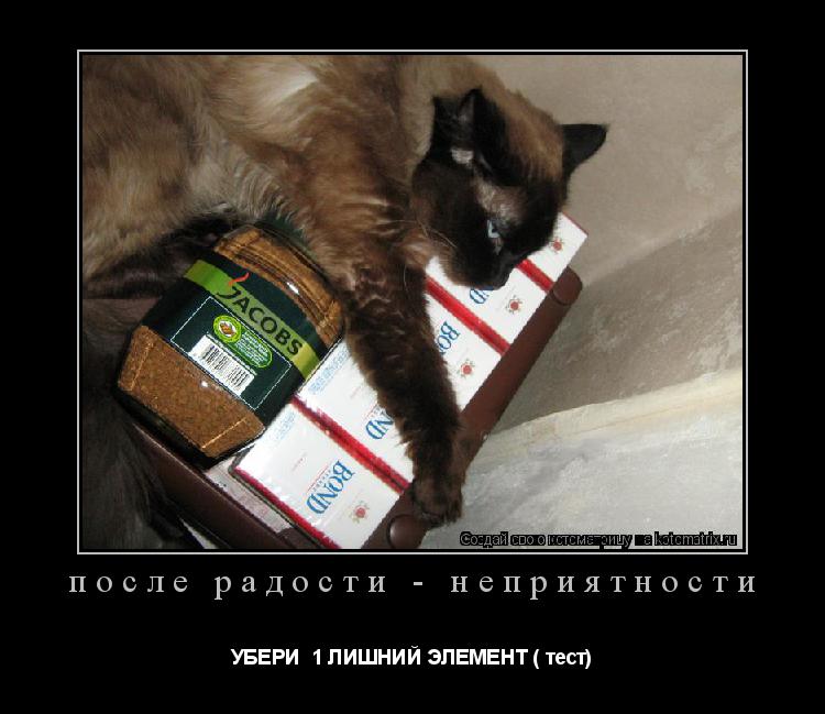Котоматрица: после радости - неприятности УБЕРИ  1 ЛИШНИЙ ЭЛЕМЕНТ ( тест)