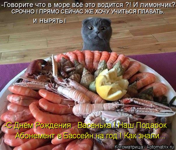 Котоматрица: -Говорите что в море всё это водится ?! И лимончик? СРОЧНО ! ПРЯМО СЕЙЧАС ЖЕ ХОЧУ УЧИТЬСЯ ПЛАВАТЬ. И  НЫРЯТЬ ! -С Днём Рождения , Васенька ! Наш По