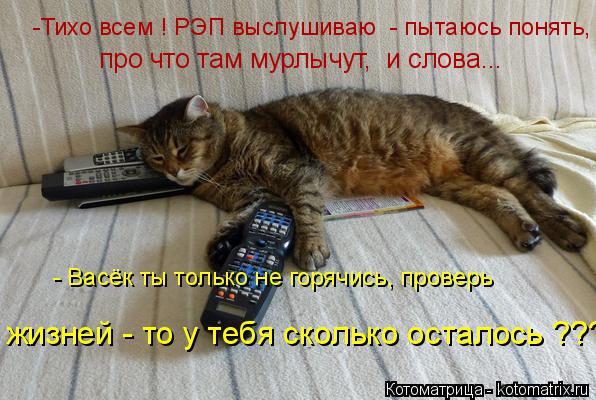 Котоматрица: - Васёк ты только не горячись, проверь жизней - то у тебя сколько осталось ??? -Тихо всем ! РЭП выслушиваю  - пытаюсь понять, про что там мурлычут