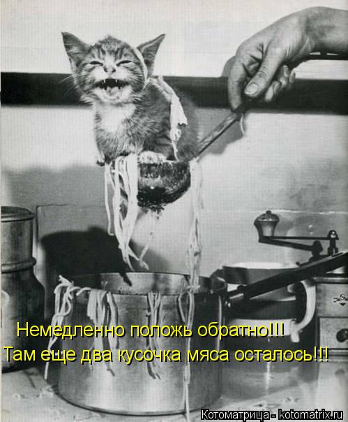 Котоматрица: Немедленно положь обратно!!! Там еще два кусочка мяса осталось!!!
