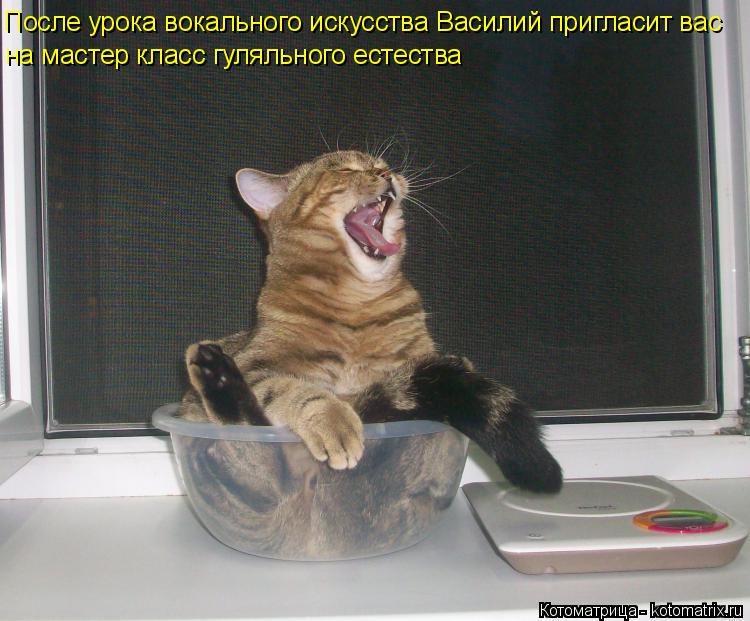 Котоматрица: После урока вокального искусства Василий пригласит вас на мастер класс гуляльного естества