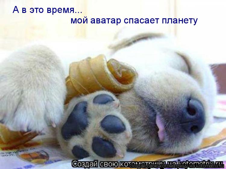 Котоматрица: А в это время... мой аватар спасает планету