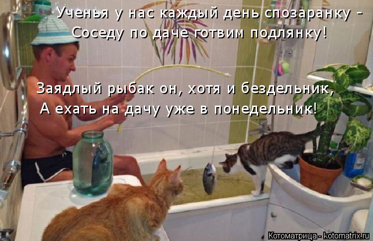 Котоматрица: Ученья у нас каждый день спозаранку - Соседу по даче готвим подлянку! Заядлый рыбак он, хотя и бездельник, А ехать на дачу уже в понедельник!