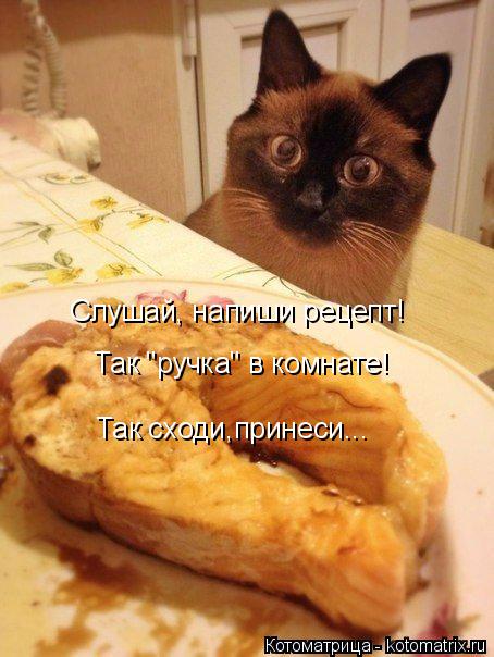 Котоматрица: Слушай, напиши рецепт! Так "ручка" в комнате! Так сходи,принеси...