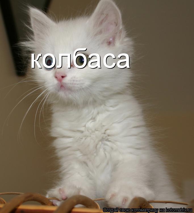 Котоматрица: колбаса