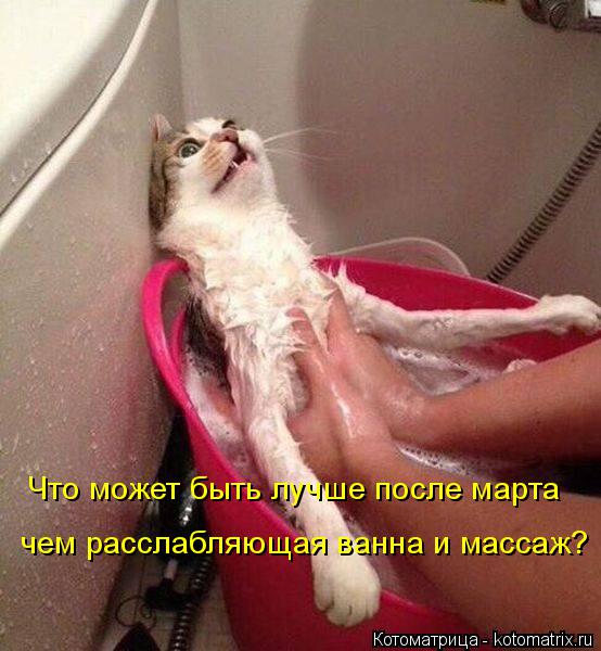 Котоматрица: Что может быть лучше после марта  чем расслабляющая ванна и массаж?