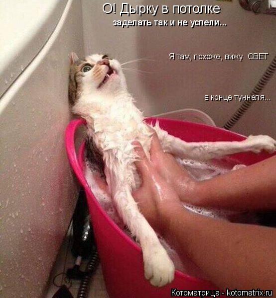 Котоматрица: в конце туннеля... Я там, похоже, вижу  СВЕТ О! Дырку в потолке  заделать так и не успели...