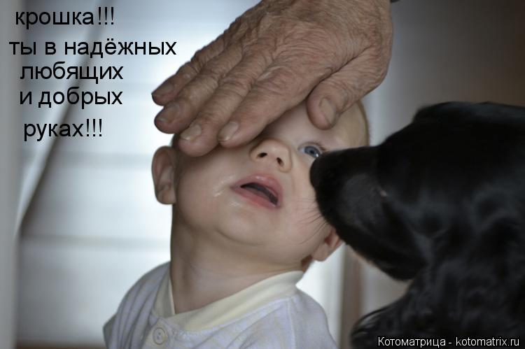 Котоматрица: крошка!!! ты в надёжных  любящих и добрых руках!!!