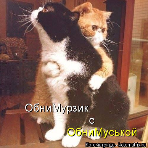 Котоматрица: ОбниМурзик с ОбниМуськой