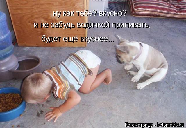 Котоматрица: ну как тебе? вкусно? и не забудь водичкой припивать, будет ещё вкуснее...