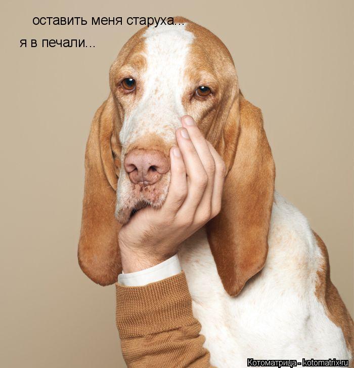 Котоматрица: оставить меня старуха... я в печали...