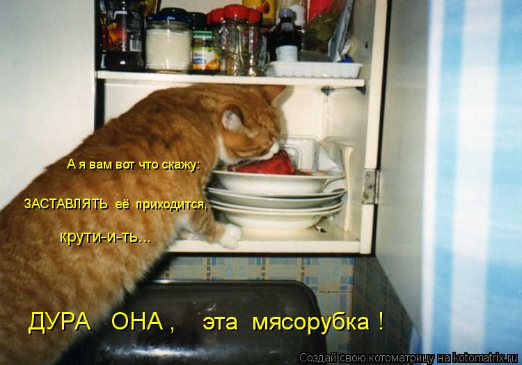 Котоматрица: ДУРА   ОНА ,    эта  мясорубка ! А я вам вот что скажу: ЗАСТАВЛЯТЬ  её  приходится,   крути-и-ть...