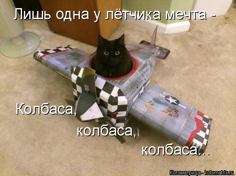 Котоматрица: Лишь одна у лётчика мечта - Колбаса, колбаса, колбаса...