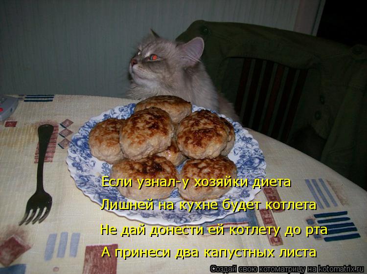 Котоматрица: Не дай донести ей котлету до рта Лишней на кухне будет котлета Если узнал-у хозяйки диета А принеси два капустных листа