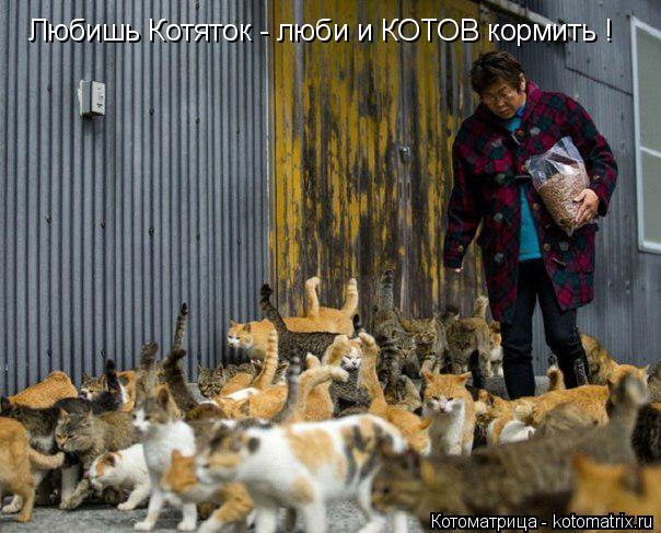Котоматрица: Любишь Котяток - люби и КОТОВ кормить !