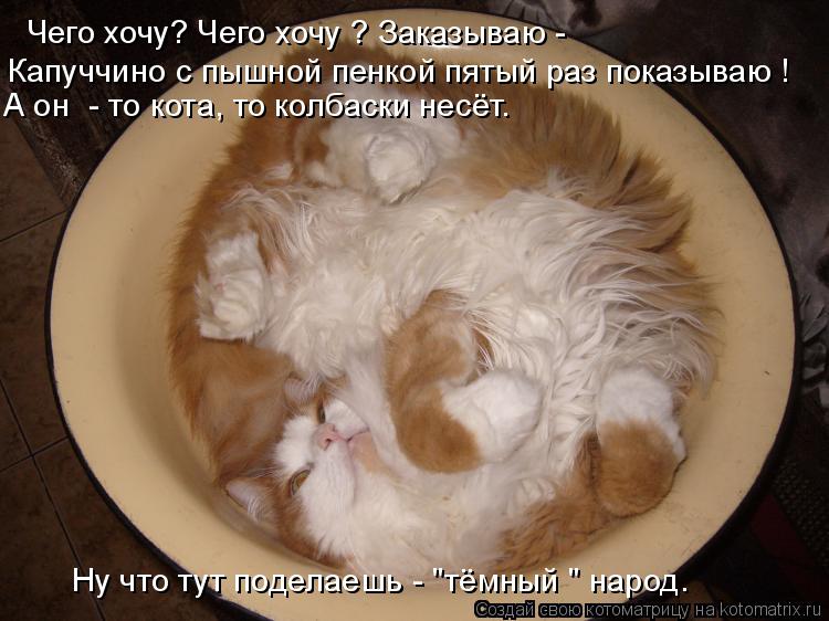 Котоматрица: Чего хочу? Чего хочу ? Заказываю - Капуччино с пышной пенкой пятый раз показываю ! А он  - то кота, то колбаски несёт. Ну что тут поделаешь - "тём