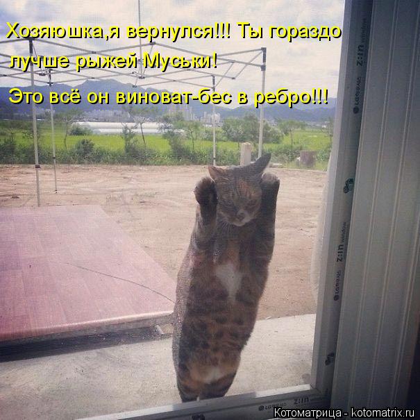 Котоматрица: Хозяюшка,я вернулся!!! Ты гораздо лучше рыжей Муськи! Это всё он виноват-бес в ребро!!!