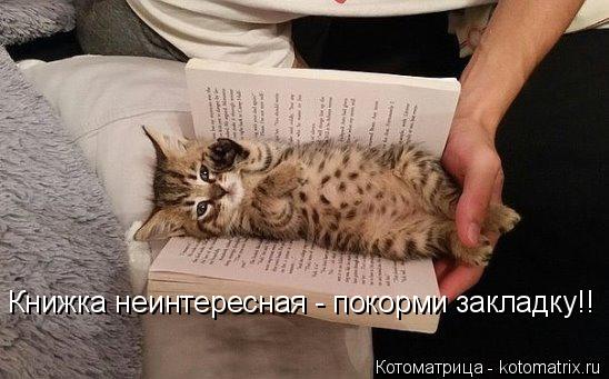 Котоматрица: Книжка неинтересная - покорми закладку!!