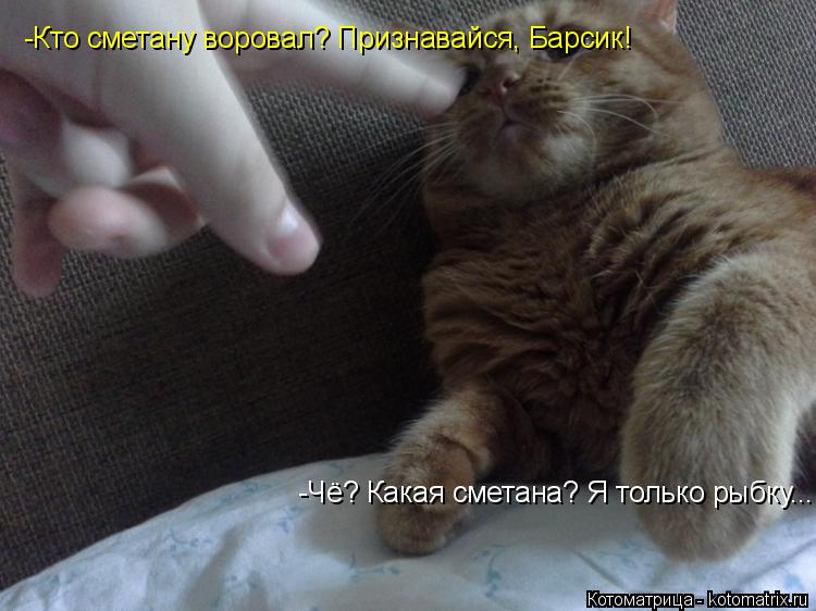 Котоматрица: -Кто сметану воровал? Признавайся, Барсик! -Кто сметану воровал? Признавайся, Барсик! -Чё? Какая сметана? Я только рыбку...