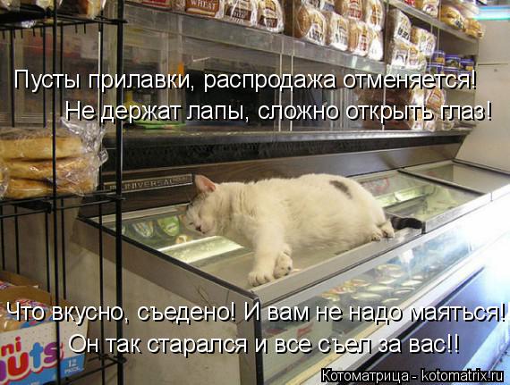 Котоматрица: Пусты прилавки, распродажа отменяется! Не держат лапы, сложно открыть глаз! Что вкусно, съедено! И вам не надо маяться!! Он так старался и все 