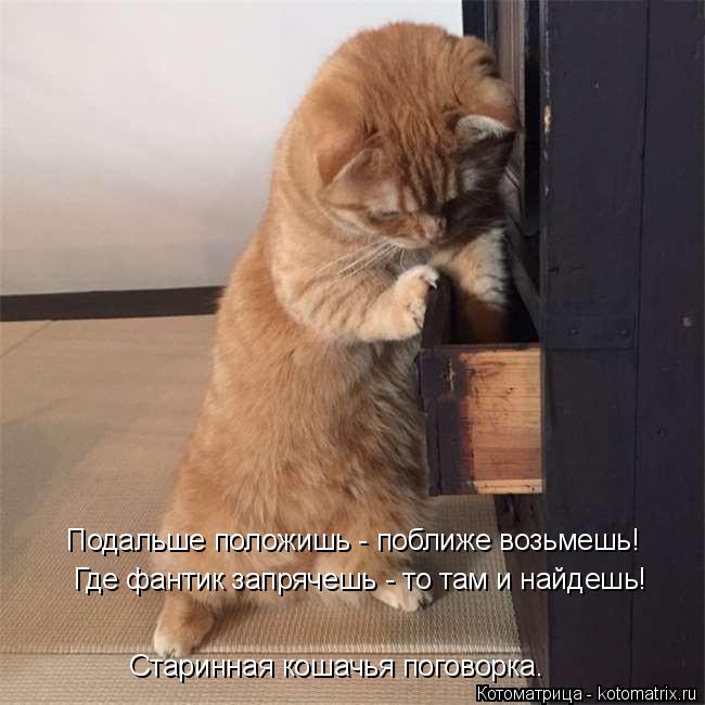 Котоматрица: Где фантик запрячешь - то там и найдешь! Подальше положишь - поближе возьмешь! Старинная кошачья поговорка.