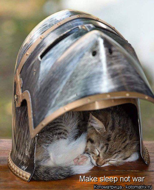 Котоматрица: Make sleep not war
