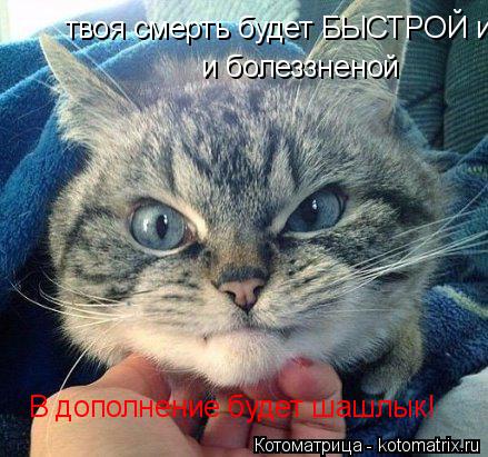 Котоматрица: твоя смерть будет БЫСТРОЙ и болеззненой и болеззненой В дополнение будет шашлык!