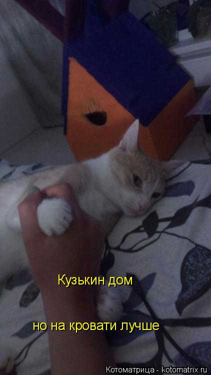Котоматрица: Кузькин дом но на кровати лучше