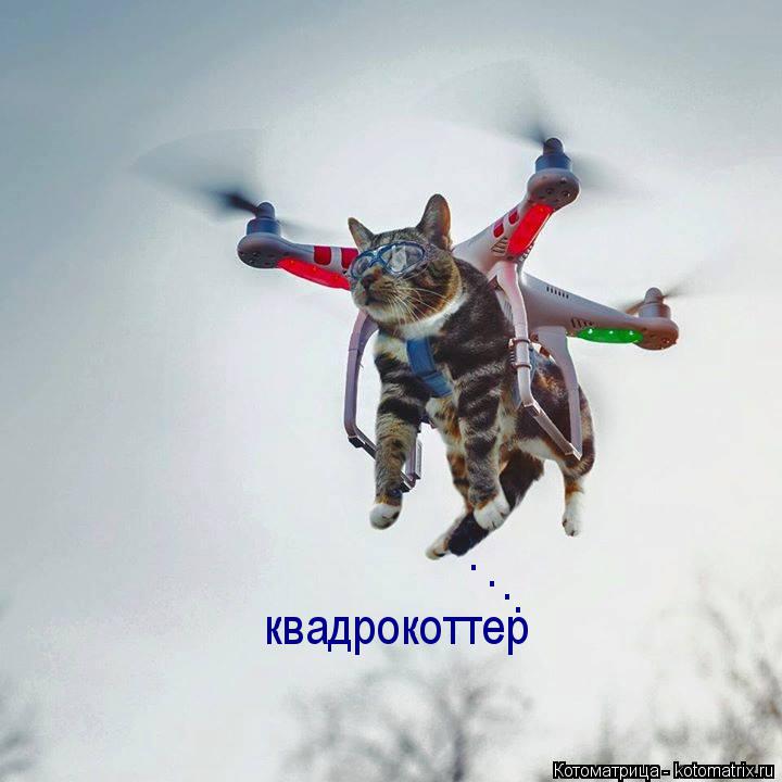 Котоматрица: квадрокоттер . . . .