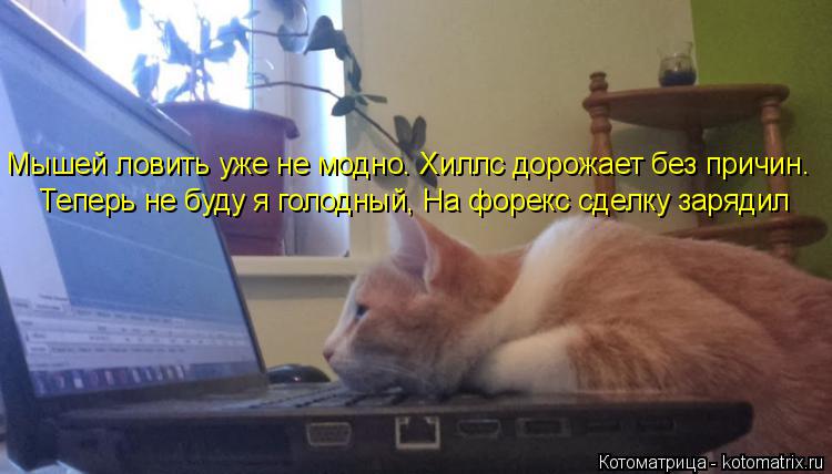 Котоматрица: Мышей ловить уже не модно. Хиллс дорожает без причин.  Теперь не буду я голодный, На форекс сделку зарядил
