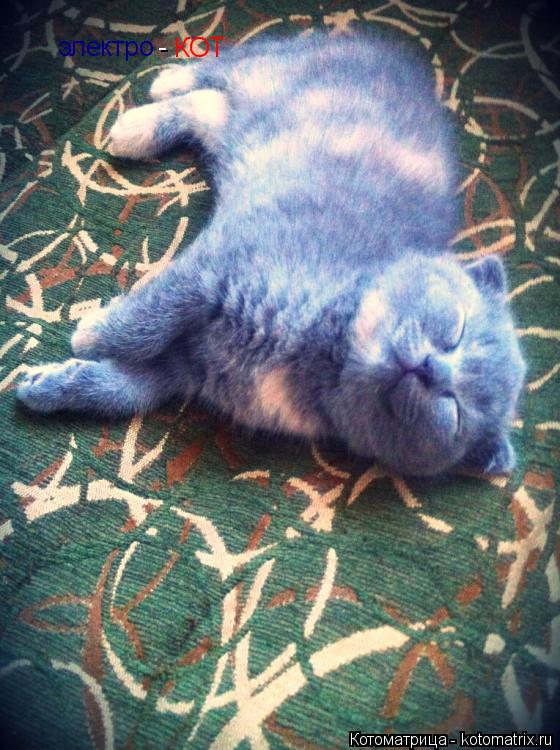 Котоматрица: электро - КОТ