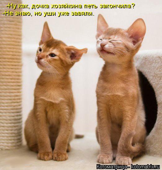 Котоматрица: -Ну как, дочка хозяйкина петь закончила? -Не знаю, но уши уже завяли.