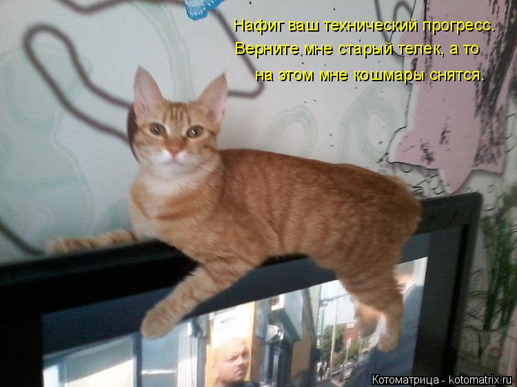 Котоматрица: Нафиг ваш технический прогресс. Верните мне старый телек, а то на этом мне кошмары снятся.