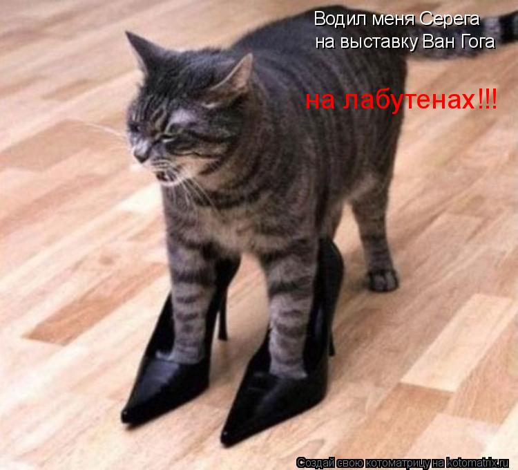 Котоматрица: Водил меня Серега на выставку Ван Гога на лабутенах!!!