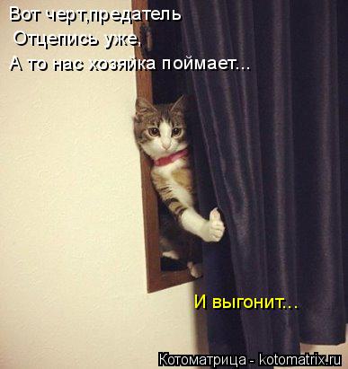 Котоматрица: Вот черт,предатель Вот черт,предатель Отцепись уже, А то нас хозяйка поймает... И выгонит...