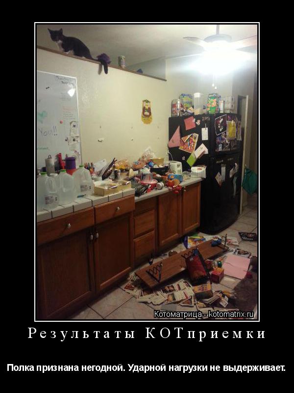 Котоматрица: Результаты КОТприемки Полка признана негодной. Ударной нагрузки не выдерживает.