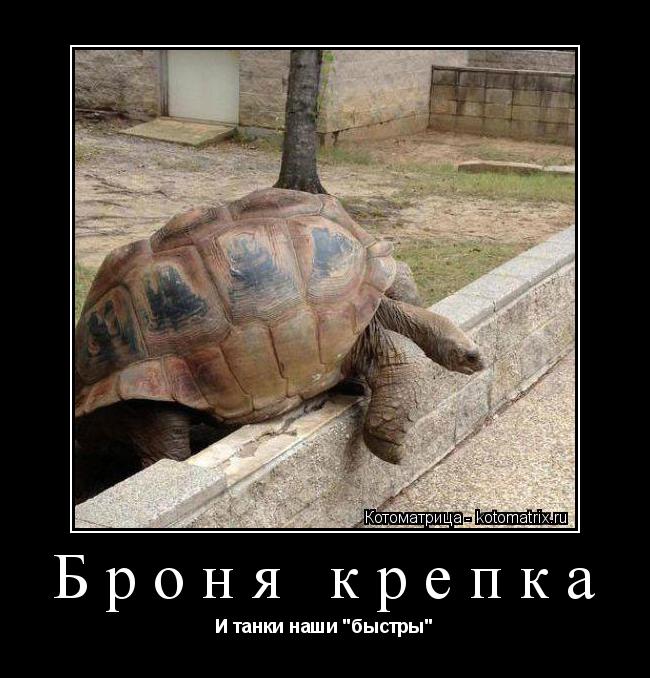 Котоматрица: Броня крепка И танки наши "быстры"