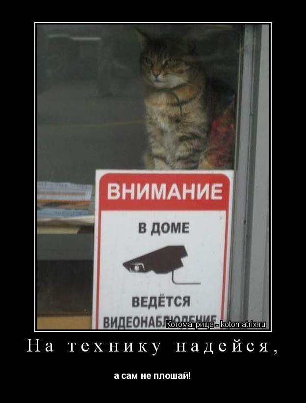 Котоматрица: На технику надейся, а сам не плошай!