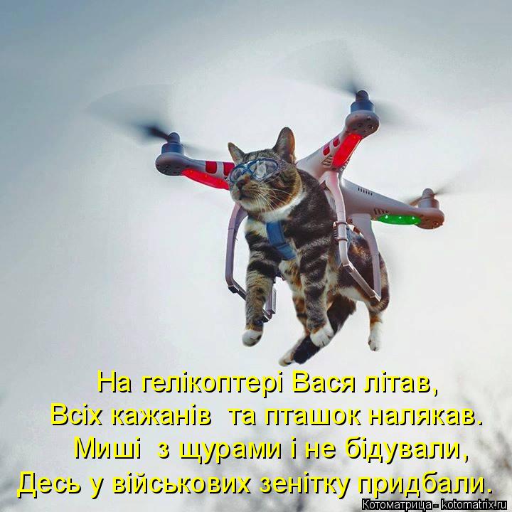 Котоматрица: На гелікоптері Вася літав, Всіх кажанів  та пташок налякав. Миші  з щурами і не бідували, Десь у військових зенітку придбали.