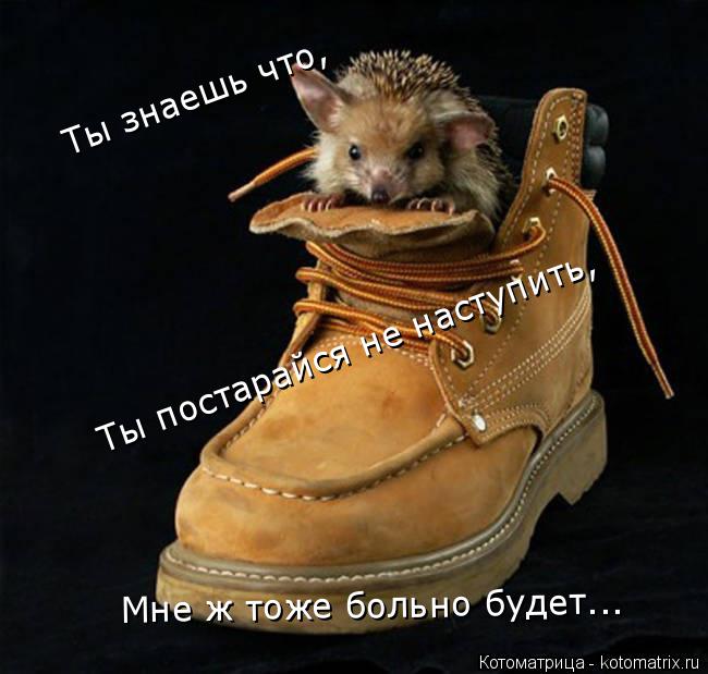 Котоматрица: Ты знаешь что, Ты постарайся не наступить, Мне ж тоже больно будет...